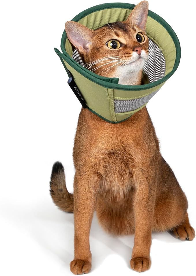 Breathable Soft Dog Recovery Cone Collar After Surgery, Adjustable Lightweight Elizabethan Collar with Air Mesh for Cats, Protective Collar to Stop Licking for Puppy, Green, S