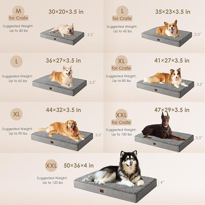 EHEYCIGA Orthopedic Dog Beds for Large Dogs with Removable Washable Cover, Light Grey, 36x27
