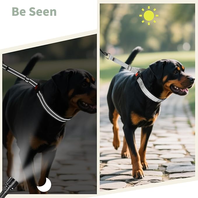 Mayerzon Martingale No Pull Collar for Medium Large Dogs, Patented Anti Pull Dog Collar with Buckle for Walking Training, with Neoprene Padding and Reflective Stitching, Adjustable(Grey, L)