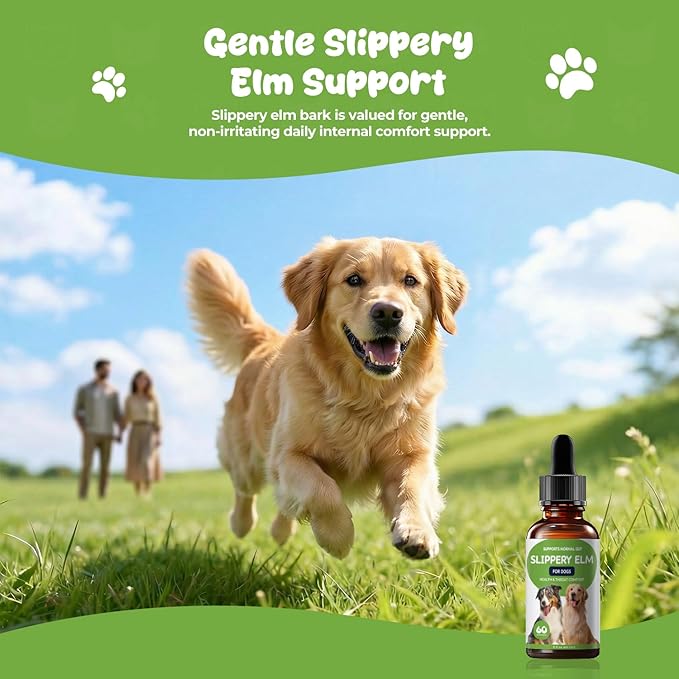 Slippery Elm for Dogs Liquid Drops, Organic Slippery Elm Bark Extract for Digestive & Throat Comfort, Bacon-Flavored Herbal Dog Supplement, 2 fl oz