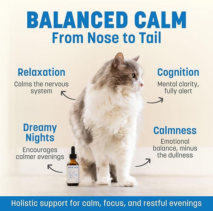 Keepin' Calm Ashwagandha Drops for Dogs & Cats - Calming Aid for Fireworks, Storms, Travel & Separation - Herbal Stress Relief, Non-Drowsy, 60ml