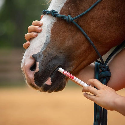 Jeffers Ivermectin Gel Dewormer for Horses - Apple Flavored, Broad Spectrum Dewormer Paste - Effective Parasite Control for Worms, Pinworms, Bots & More - Safe for Equine of All Ages- 6 Pack