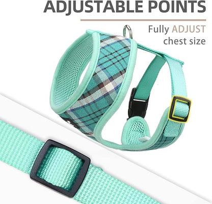 PUPTECK Soft Mesh Dog Harness and Leash Set Pet Puppy Cat Comfort Padded Vest No Pull Harnesses, Green, XS