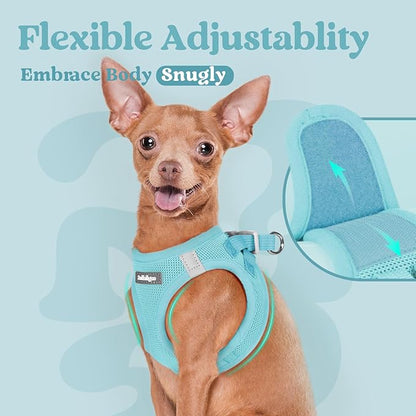 rabbitgoo Small Dog Harness, Step-in Soft Mesh Puppy Vest with Safety Buckle, Breathable Reflective Pet Harness for Extra Small Dogs, Mint Blue XXXS