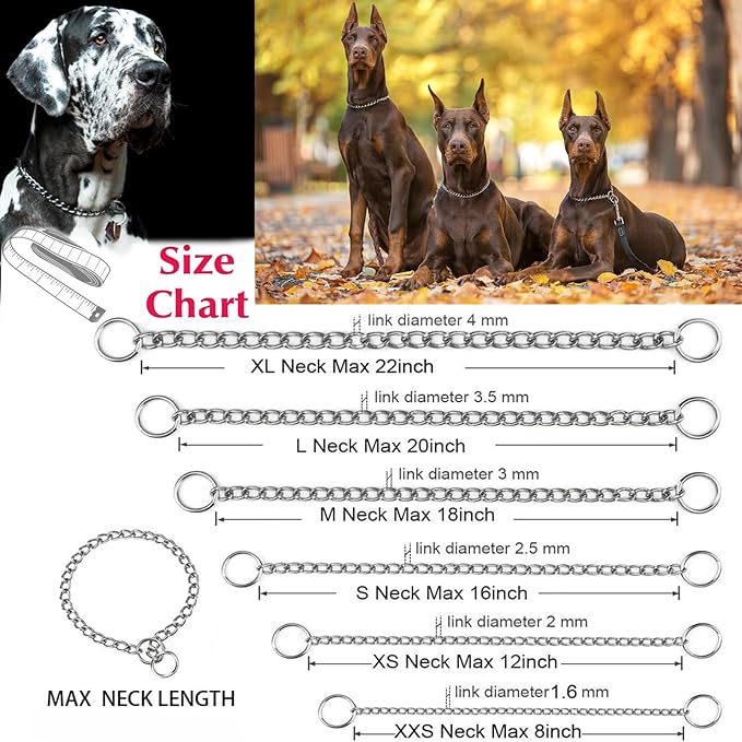 Chain Collar for Dogs, Metal Slip Link Heavy Duty Dog Martingale Collar Training Puppy Collars for Small Medium Large Big XL Breed Dogs, Silver M