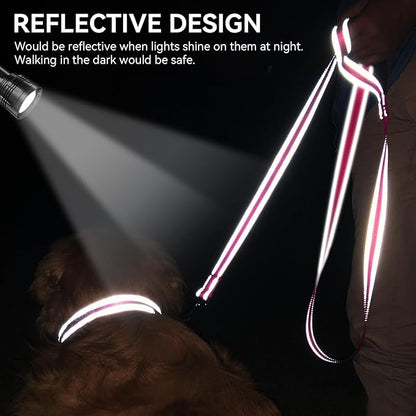 Joytale Dog Leash, 6 FT Double-Sided Reflective, Padded Handle Nylon Heavy Duty Leashes for Medium & Large Dogs Walking, Hotpink