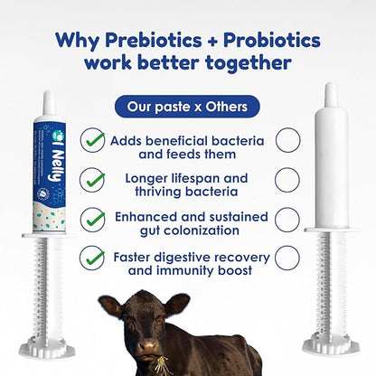 Ruminant Probiotic Paste 80CC for Cattle, Goats & Livestock – Prebiotic + Probiotic 6 Strains 8B CFU, Vitamin E & Minerals – Digestive, Rumen & Immune Support, Calving