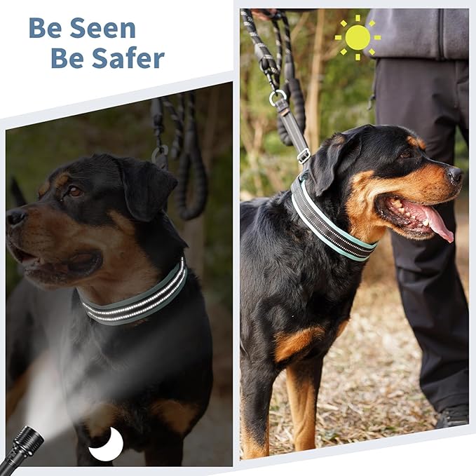 Mayerzon Martingale No Pull Collar for Medium Large Dogs, Patented Anti Pull Dog Collar with Buckle for Walking Training, with Neoprene Padding and Reflective Stitching, Adjustable(Teal Trim, M)