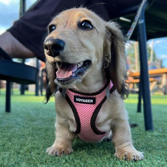 Best Pet Supplies - All Weather Mesh / Plush, Reflective, No Pull Harness for Small, Medium Dogs, Cats - Secure with Hook & Loop Fastener, Buckle, Double D-Rings - Pink/Black Trim, S