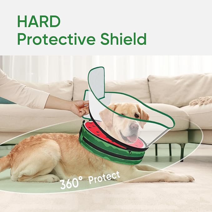 Sponge Dog Cone Collar, Dog Recovery Collar Alternative with Detachable High Clear Shield, Adjustable Soft Neck Cone for Small Medium Large Dogs, Stop Licking After Surgery (Watermelon,M)