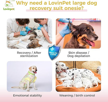 LovinPet Dog Recovery Suit - Medium Large - Professional Large Dog Recovery Suit Abdominal Wound Surgical Clothes Post-Operative Vest E-Collar Alternative Recovery,Hippo,Yellow,XXL