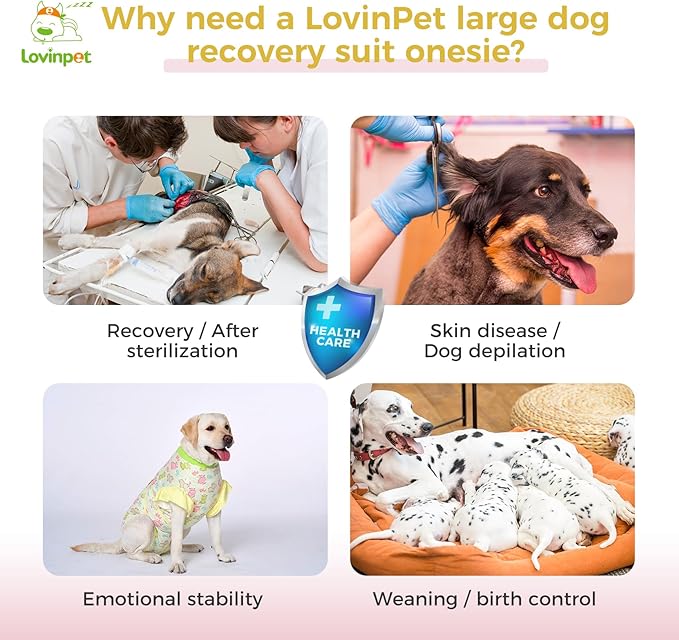 LovinPet Dog Recovery Suit - Medium Large - Professional Large Dog Recovery Suit Abdominal Wound Surgical Clothes Post-Operative Vest E-Collar Alternative Recovery,Hippo,Yellow,L