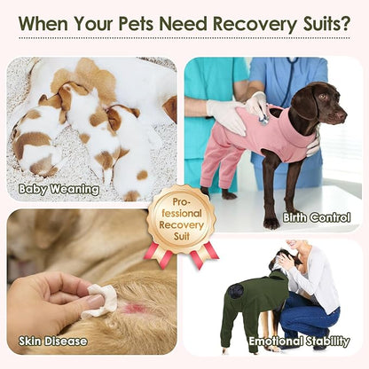 KOESON Dog Surgery Recovery Suit Back Legs, Back Zipper Recovery Suit for Dogs Post Surgery, Soft Dog Hind Leg Sleeve to Stop Licking, Pet Rear Leg Wound Cover for Large Dogs, Army Green L