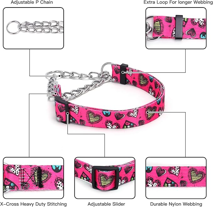 Martingale Dog Collar and Leash Set, Stainless Steel Chain, No Pull Training Collar with Flower Design, for Small, Medium, Large Dogs (NO4, L)