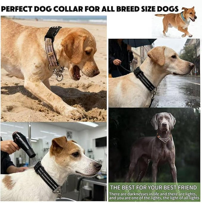 Martingale Dog Collars, Reflective Nylon Collar with Stainless Steel Chain, Adjustable Walking Training Dog Collars with Quick Release Buckle, Suitable for Small Medium Large Dogs(Black,S)