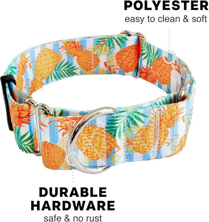 Downtown Pet Supply - Martingale Collar for Dogs - Dog Training Collar - Big, Wide & Thick Dog Collar - Escape-Proof, Weatherproof, Durable and Comfortable - Pineapple - Small Dog Collar