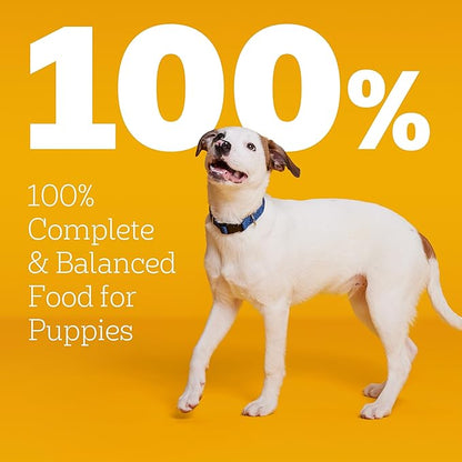 Pedigree Dry Puppy Food, Puppy Dry Food with Grilled Steak and Vegetable Flavor, 3.5 lb. Bag