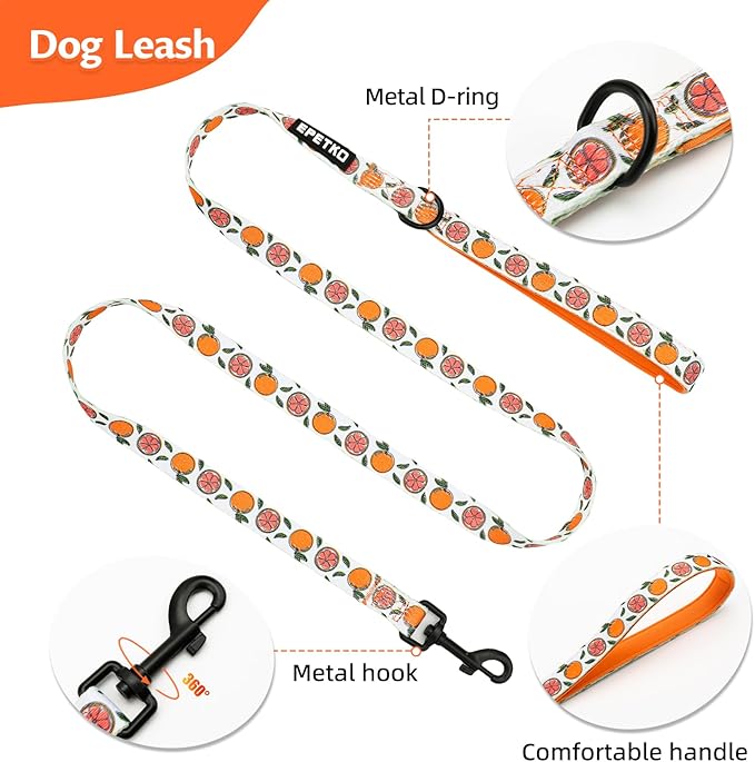 Small Dog Harness and Leash Set of 6, No Pull Soft Lightweight Mesh Puppy Harness， Adjustable Cute Floral Pattern Pet Harness for Small Medium Dogs (Orange, M)