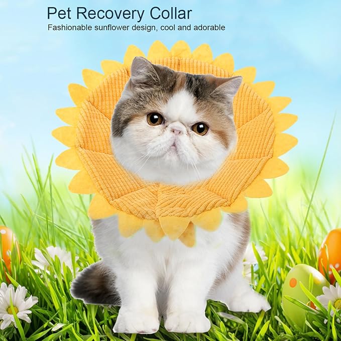Cat Cone, Pet Recovery Collar Sunflower Shape Pet Elizabethan Collar Pet Recovery Cone Adjustable Pet Collar for Cat Dog (Size 4 Neck Circumference 26-29cm)