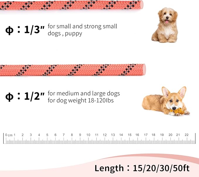 Long Dog Leash for Training 50Ft-Reflective Nylon Rope with Swivel Hook-Recall Agility Lead for Large Small Medium Dogs Outside Walking Hiking-Orange Diam 1/2"