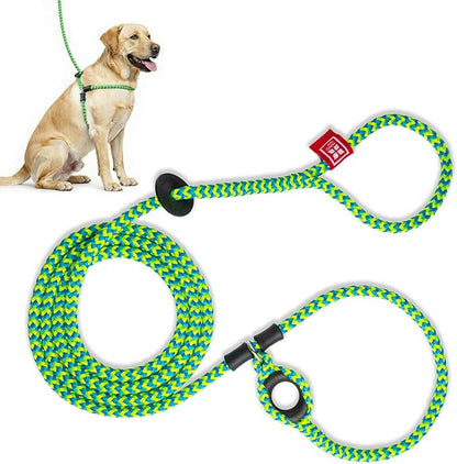Harness Lead No Pull Dog Harness and Leash Set, Anti Pull Dog Harness, One-Piece Cushioned Rope Safely Prevents Escaping and Pulling (Medium/Large, Peacock/Blue/Lime)