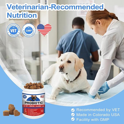 Probiotics for Dogs Gut Digestive Health Probiotic Chews for Dogs with 11 Billion CFUs, 4 Prebiotics, Pumpkin, Salmon Oil & Yogurt Base| Supports Gas, Yeast Balance & Immune, Dog Probiotics 200ct
