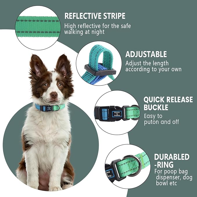Roses&Poetry Bluegreen Small Dog Collar and Leash Set, Puppy Reflective Leashes with Collars, Adjustable Durable Matching Collar Leash for Small Dogs Girl (Bluegreen-S)