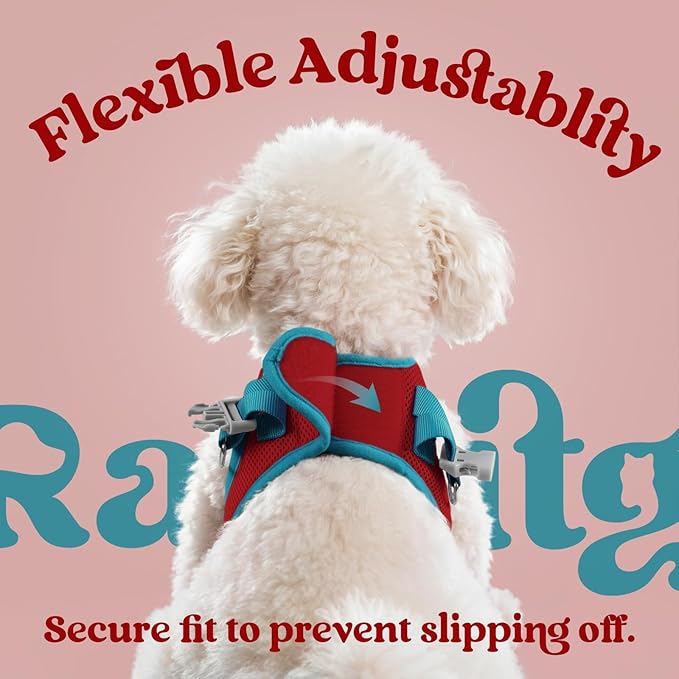 rabbitgoo Dog Harness Small Sized and Leash Set, Step-in Breathable Pet Harness, Soft Walking Reflective Puppy Vest for Small Dogs, Red & Teal, M