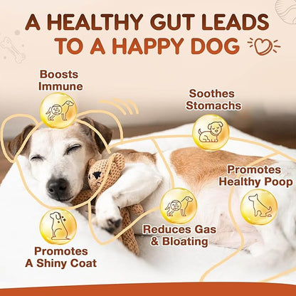 ZEBORA Probiotics for Dogs, Dog Probiotics, for Digestive Health, Plus Pumpkin and Fish Oil, for Gut & Itchy, 180 Soft Chews