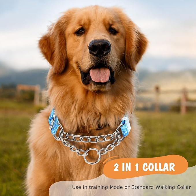 Martingale Dog Collar with Stainless Steel Chain, No Pull Slip Cinch Choker Choke Collar Training Escape Proof Heavy Duty Dog Collar for Medium Large Extra Large Pet Boy Male Dogs, Blue L