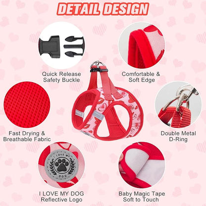 BEAUTYZOO Step in Dog Harness and Leash Set,Reflective Dog Harness No Pull No Choke Puppy Harness for Small Medium Large Dogs Cats,Soft Padded Mesh Vest Harnesses for Girl and Boy Pets, Valentine XS