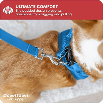 Downtown Pet Supply Step in Dog Harness for Small Dogs No Pull, Medium, Cobalt - Adjustable, Reflective Trim, Padded Mesh Fabric, Buckle Strap Harness for Dogs