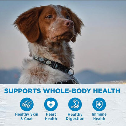 Wellness Simple Limited Ingredient Adult Dry Dog Food, Grain Free Kibble, Sensitive Stomach, Skin & Coat Support, Natural, Chicken Free, Salmon and Potato Recipe, 40 lb Bag