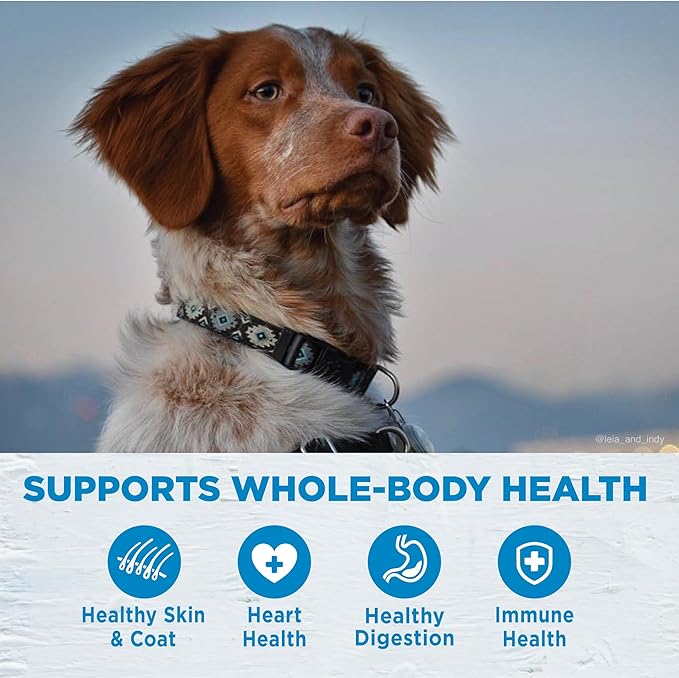 Wellness Simple Limited Ingredient Diet Adult Dry Dog Food, Wholesome Grain Kibble, Sensitive Stomach, Skin & Coat Support, Natural, Chicken Free, Lamb and Oatmeal Recipe, 26 lb Bag