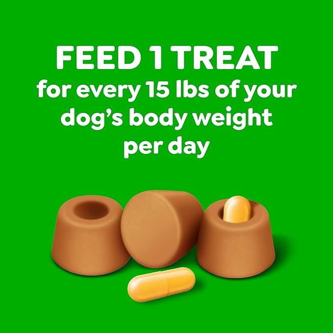 Greenies Pill Pockets for Dogs Large Size, Dog Treat Pouch for Capsule Medication, Chicken Flavor, 15.8 oz. Pouch