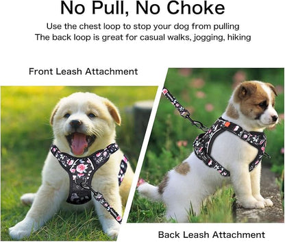 Petmolico XS Dog Harness and Leash Set, No Choke 4 Leash Attachments Easy Control Handle Soft Padded Reflective Vest for Small Dogs, Rose