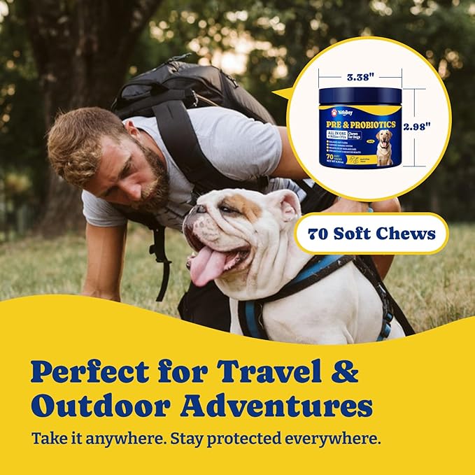 Probiotics for Dogs - Dog Probiotics for Digestive Health, Yeast, Itchy Skin, Gut Health, Immune & Skin - 6 Billion CFUs, 70 Soft Chews, Duck & Pear Flavor - with Prebiotics & Digestive Enzymes
