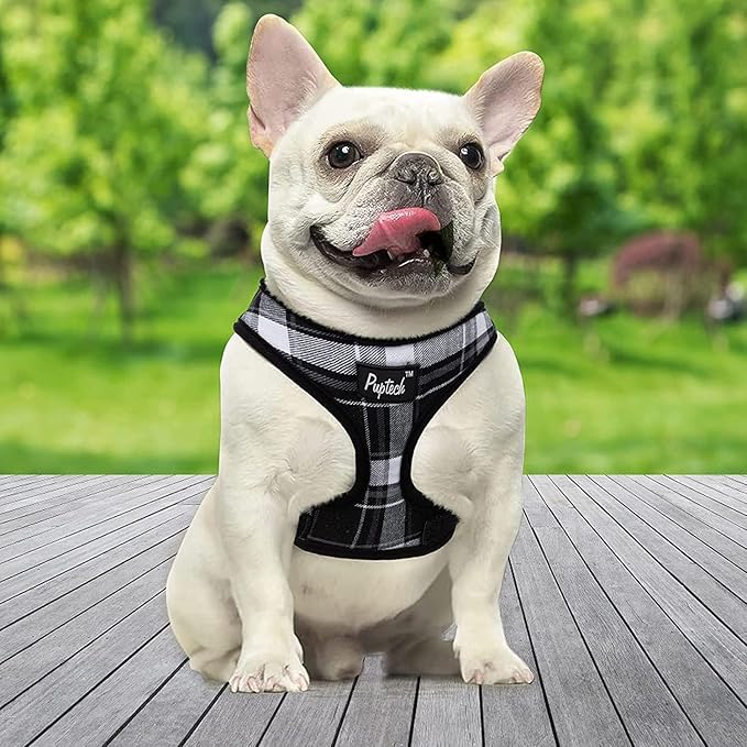 PUPTECK Soft Mesh Dog Harness and Leash Set Pet Puppy Cat Comfort Padded Vest No Pull Harnesses, Black, L