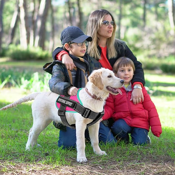 voopet Service Dog Harness, Emotional Support Pet Vest Harness, Reflective Breathable and Adjustable No-Pull ESA Dog Harness for Small Medium Large Dogs (with 4 PCS Removeable Tags)