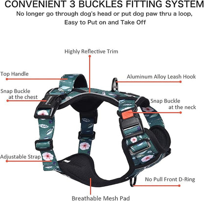 Petmolico No Pull Dog Harness Set with Leash Attachment Easy Control Handle Reflective Harness Vest Small Breed, Puppy Vest and Leash Set with Poop Bag Holder, Small - Green Rhododendron