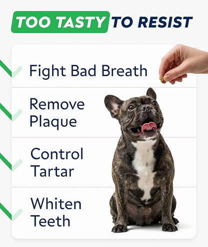STRELLALAB Advanced Dog Dental Chews & Breath Freshener – Dog Teeth Cleaning Treats, Bad Breath Control, Plaque & Tartar Off, Pet Oral Care, Pro Perio Support, Lab Co Bright Formula – 90 Treats
