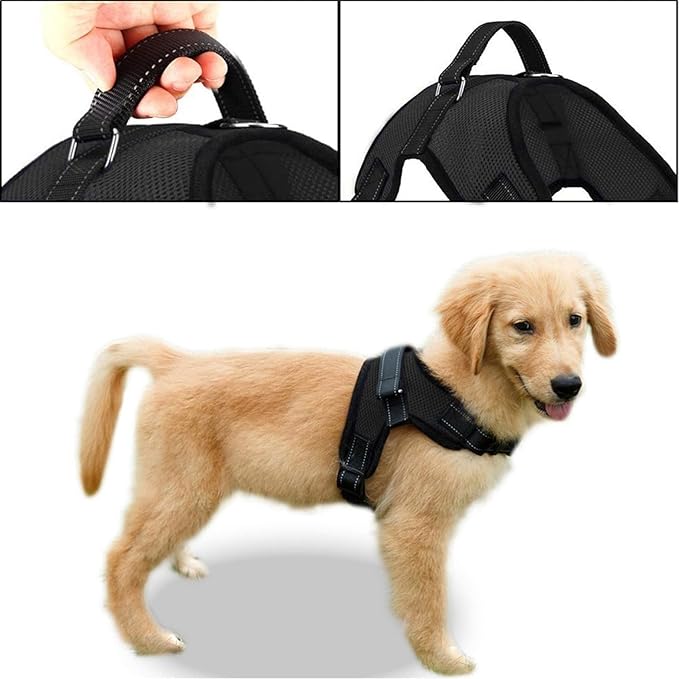 No Pull Reflective Adjustable Dog Harness with Handle- Comfortable Soft All Weather Mesh, Easy On Puppy Harness for Small Medium and Large Dogs (Black) Small
