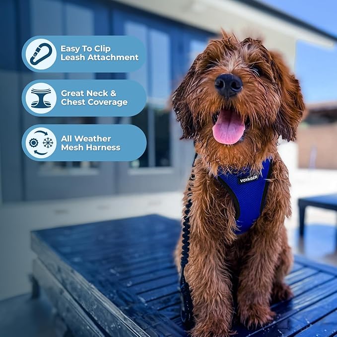 Best Pet Supplies Voyager Step-in Air All Weather Mesh Harness and Reflective Dog 5ft Leash Combo with Neoprene Handle, for Small, Medium and Large Breed Puppies - Set (Royal Blue/Black Trim), Medium