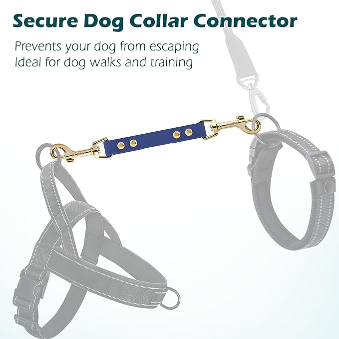 PetBonus Dog Collar Safety Clip, Waterproof Backup Safety Strap for Dog Harness to Prong Collar, Odor Proof Double Ended Clasp Leash Connector for Training Walking (Blue)