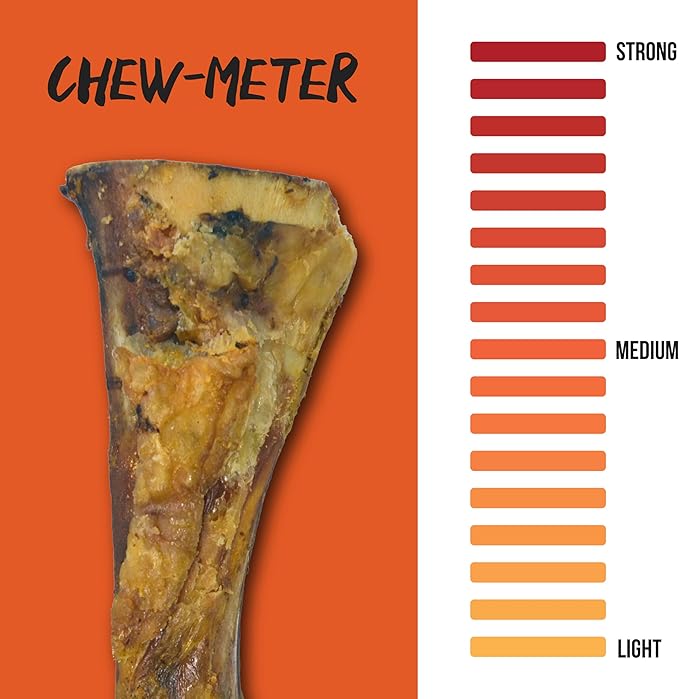 Scott Pet Grillerz Junior Meaty Mammoth Bone, 1 Count, Rawhide Free, All Natural Treat for All Breeds, Gluten Free, Long Lasting, Easy to Digest, Dog Chew for Healthy Teeth