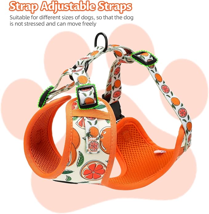Small Dog Harness and Leash Set of 6, No Pull Soft Lightweight Mesh Puppy Harness， Adjustable Cute Floral Pattern Pet Harness for Small Medium Dogs (Orange, XS)