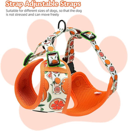 Small Dog Harness and Leash Set of 6, No Pull Soft Lightweight Mesh Puppy Harness， Adjustable Cute Floral Pattern Pet Harness for Small Medium Dogs (Orange, L)