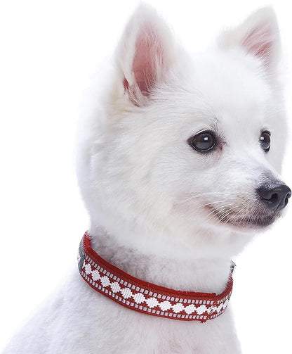 Blueberry Pet Reflective Jacquard Dog Collar with Neoprene Padding & Metal Buckle | Soft & Adjustable Safety Collar - Marsala Red, Neck 9-12.5", for Small Breed