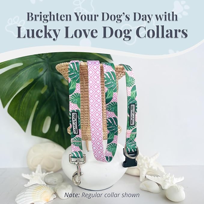 Lucky Love Dog Martingale Dog Collar & Leash - Adjustable, No-Slip, Durable, Comfortable, Soft Webbing, & Stylish Patterned Collar & Leash Set for Male and Female Dogs - Laguna Mart Combo, Large