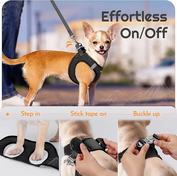 Eagloo Small Dog Harness and Leash Set, Step in Puppy Vest with Breathable Soft Mesh, Walking Reflective Pet Harness for Medium Small Dogs, Black, M
